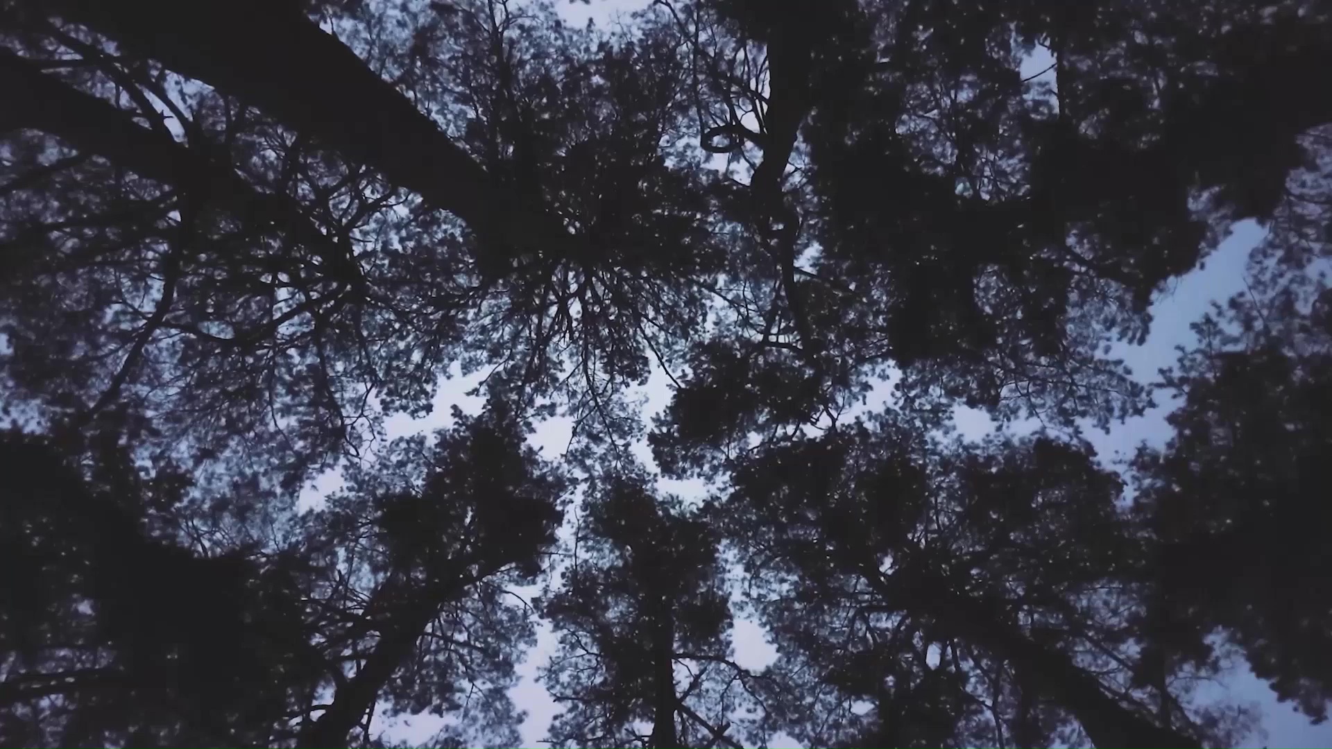 Best AI Tools for B2B Lead Generation in 2026